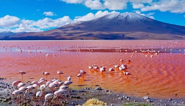 salar de uyuni galería 3